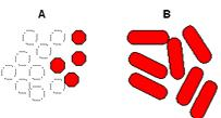 Resistência resultante de Recombinação Genética 1. Duas populações bacterianas A e B crescem em um mesmo ambiente. A espécie B é resistente a droga X. 2.