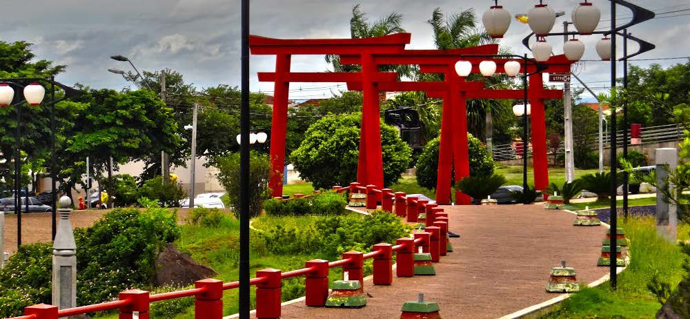 GERAÇÃO NIKKEY Os destaques da presença japonesa no Norte do Paraná estão enraizados na cultura, gastronomia, educação e economia local.