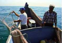 Pesca do alto Realiza-se longe da costa por períodos de cerca de oito dias, utilizando
