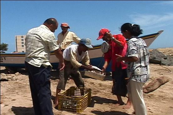 A Pesca Artesanal A Pesca artesanal mantém-se em regiões pouco desenvolvidas, onde a produção/captura é escassa e serve basicamente para o autoconsumo (só uma pequena parte se destina