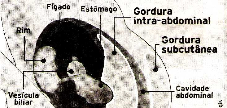 PERÍMETRO CINTURA -