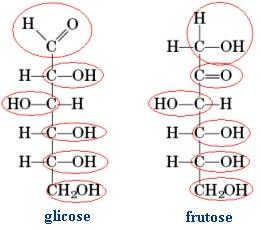 e GLICÍDIOS Carbonila Os monossacarídeos Glicose e Frutose são redutores por possuírem grupo