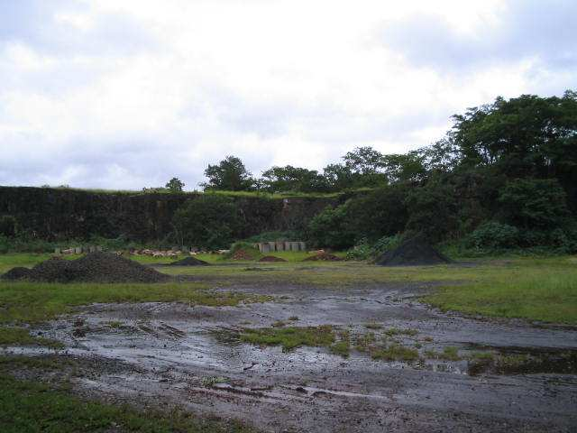 Universidade de São