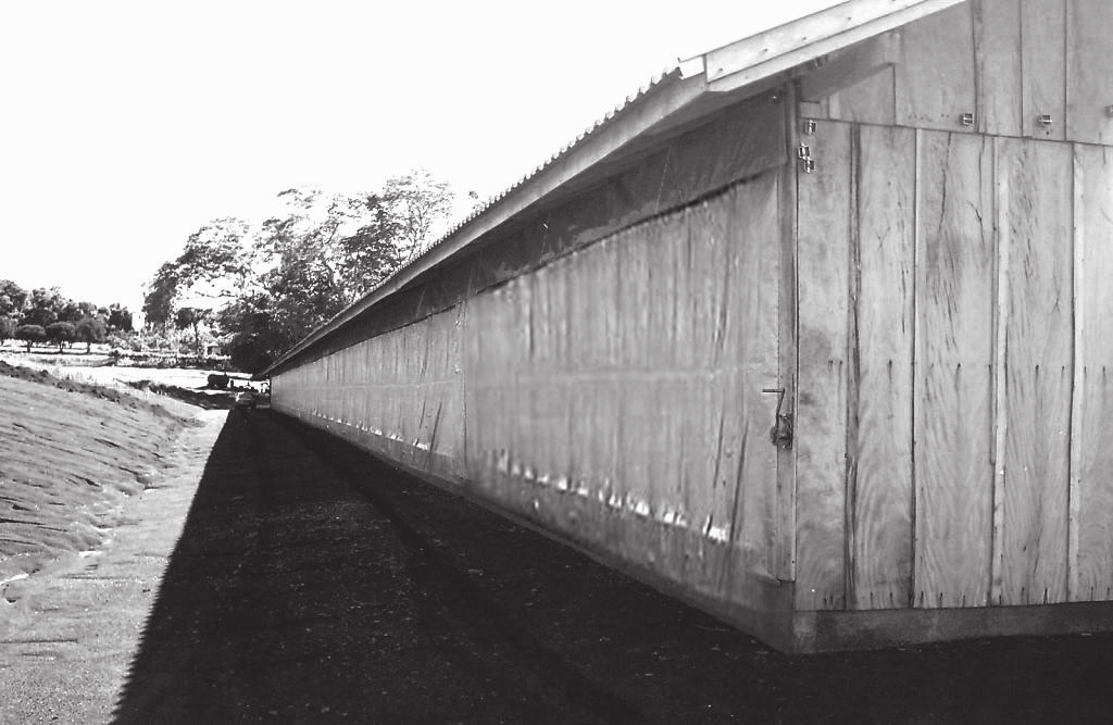 MANEJO DAS CORTINAS As cortinas são tão importantes quanto os outros equipamentos do aviário, tendo a função de proporcionar um ambiente confortável às aves, protegendo- -as das variações climáticas.