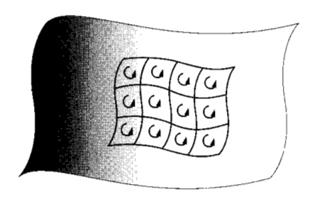 10.6. TEOREMA DO CÁLCULO ETORIAL 91 Figura 10.7: Teorema de tokes. A superfície arbitrária é preenchida por circuitos quadrados infinitesimais.