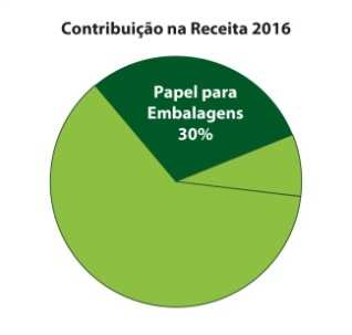 Volume de Vendas (em metros quadrados) Segmento Embalagem de Papelão Ondulado (PO) Fonte: ABPO Fonte: IRANI O volume da fábrica de Embalagem SP Indaiatuba atingiu 50.859 toneladas de caixas e 19.