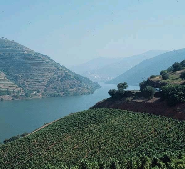 Minho-Lima Cávado Grande Porto Ave Entre Douro e Vouga Tâmega Vila Real Stª Marta Penaguião Sabrosa Murça Alijó Tarouca Penedono Moimenta da Beira Sernancelhe Carrazeda de Ansiaes Alto Trás-os-Montes