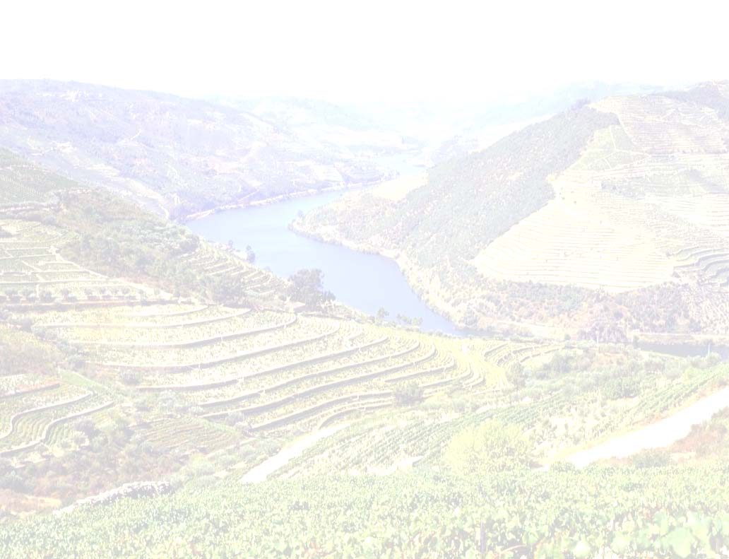 PROJECÇÃO INTERNACIONAL AO POTENCIAL TURÍSTICO DO DOURO (afirmar e promover a marca Douro internacionalmente) FIXAR VISITANTES NA REGIÃO (desenvolver Animação!