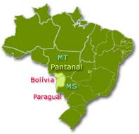 Pantanal