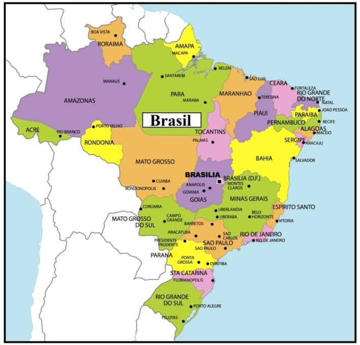 79 (...) temos que levar em conta a dimensão tempo, ao longo da qual chegaram ao Brasil ondas de populações de diversas origens étnicas.