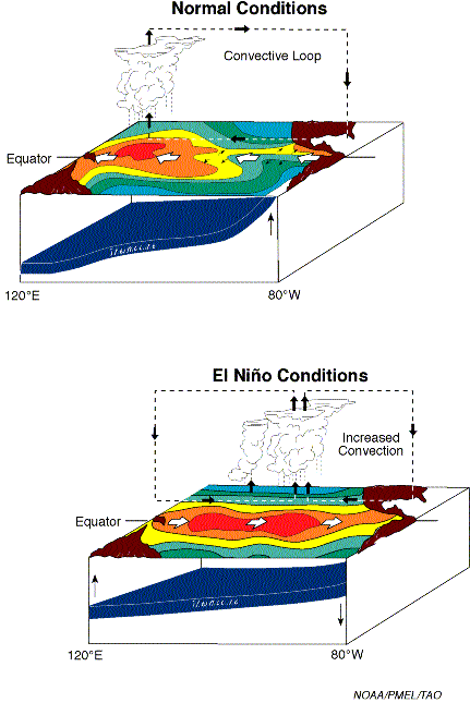 El-Niño O fenômeno El Niño é uma perturbação do sistema oceano-atmosfera no Pacífico tropical O processo causa intensas enchentes no sul dos EUA, Peru e sul do Brasil, assim como grande seca no oeste