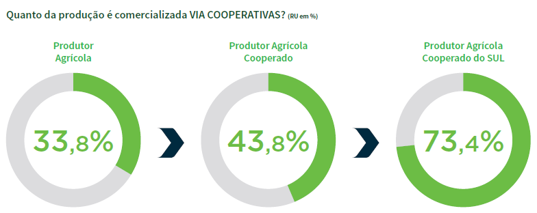 6 FIGURA 10 Em relação aos problemas e preocupações mais sentidos pelos agricultores na operacionalização de suas produções, estão em primeiro lugar o clima com 46,8%, em segundo, o preço de venda