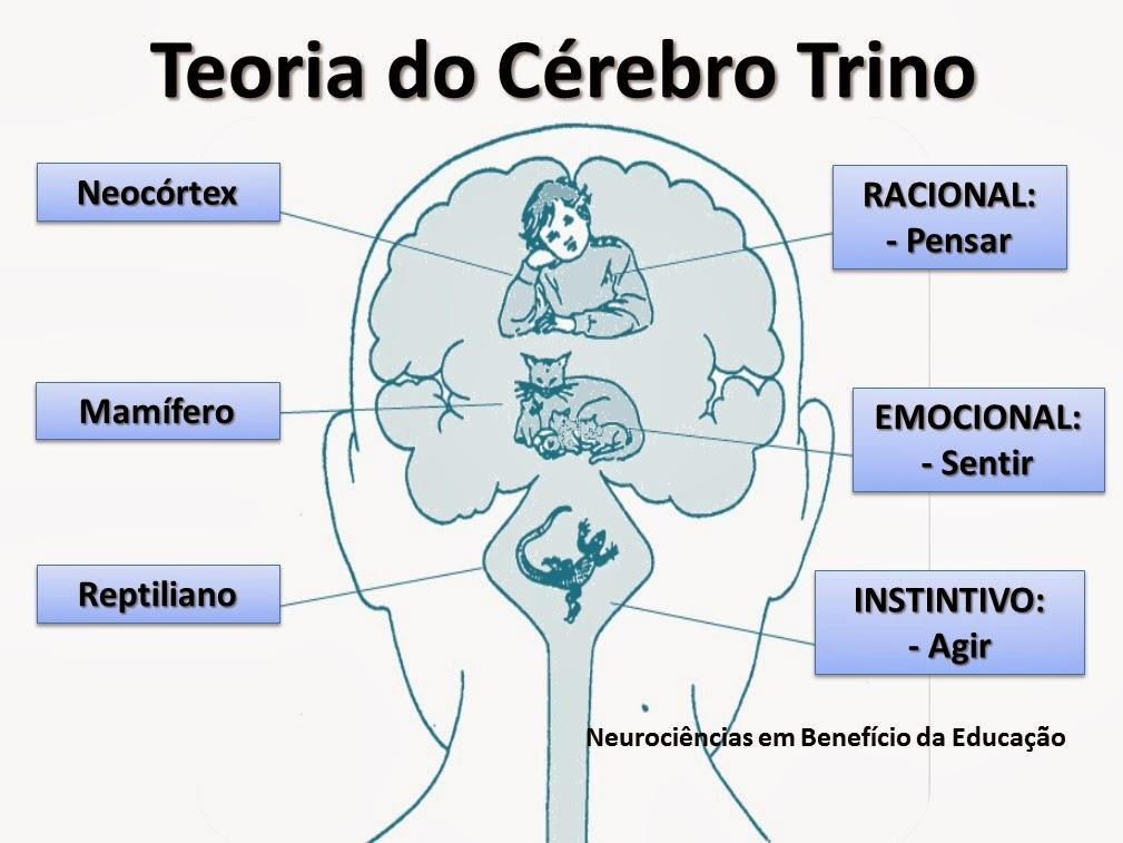 Importante saber que podemos treinar esses 3 cérebros desde de que sejam utilizadas as ferramenta e o métodos corretos.