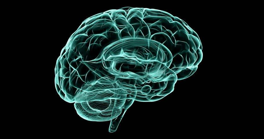 Neurociências Diversos processos são enfocados: a) *Aprendizagem e Memória; b) *Atenção; c) *Motivação e Emoções; d) *Sensação e Percepção; e) *Identidade Pessoal (o