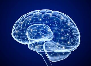 O Cérebro Seu cérebro consome aproximadamente 20% da glicose que você consome.