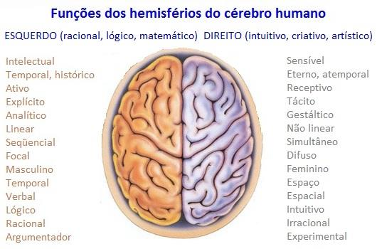 Você tem 2 Hemisférios Cerebrais Um dos segredos para potencializar seu cérebro é aprender a usar melhor os 2