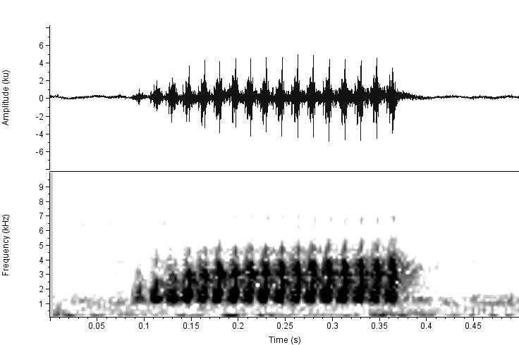 23 Figura 4. Oscilograma (acima) e espectrograma (abaixo) do canto de anúncio de Scinax hayii de Petrópolis, RJ (localidade tipo). Temperatura do ar 17 C. Tabela 2.