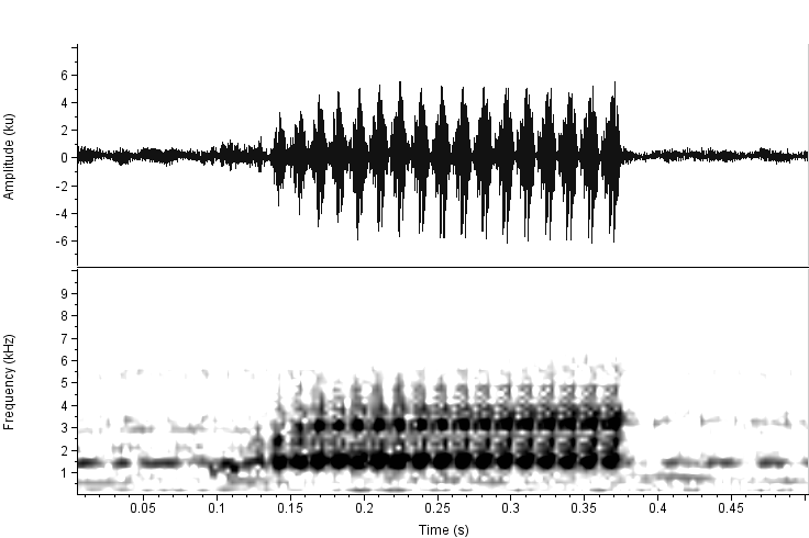 41 Figura 8. Oscilograma (acima) e espectrograma (abaixo) do canto de anúncio de Scinax hayii da UTO Serra do Mar. Temperatura do ar 18 C. Tabela 6.