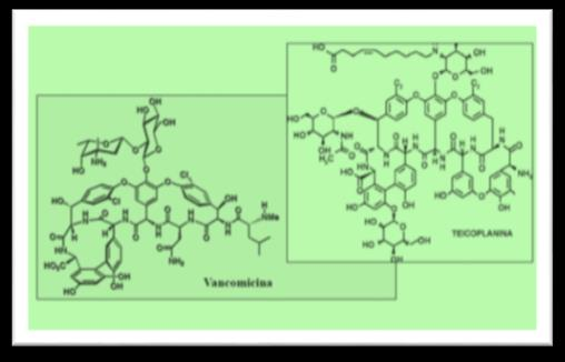 Vancomicina Um dos poucos antibióticos disponíveis Para tratar infecções graves por MRSA Essa substância inibe a síntese da parede celular bacteriana