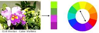 2. Um esquema de cores com base em cores complementares O cérebro humano rejeitará sob estimulante informações.