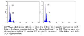 Para a análise no citômetro de fluxo foram coletadas amostras de 95 plantas para a quantificação do nível de ploidia, cujos resultados corroboraram com os dados de marcadores SSR.