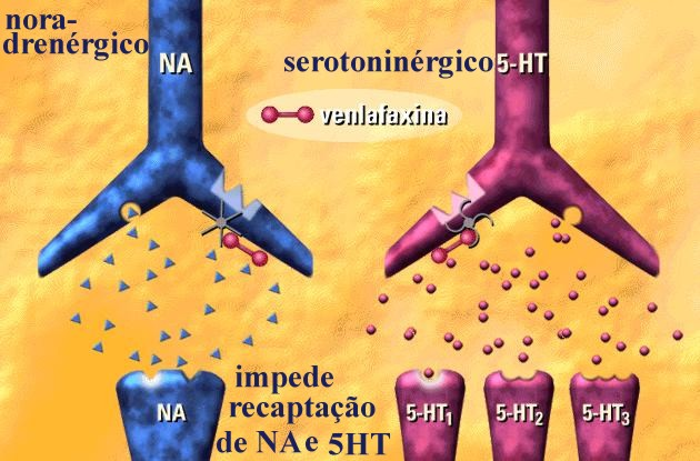 Inibidores da Recaptação de Serotonina e Noradrenalina (IRSN) Fármaco: