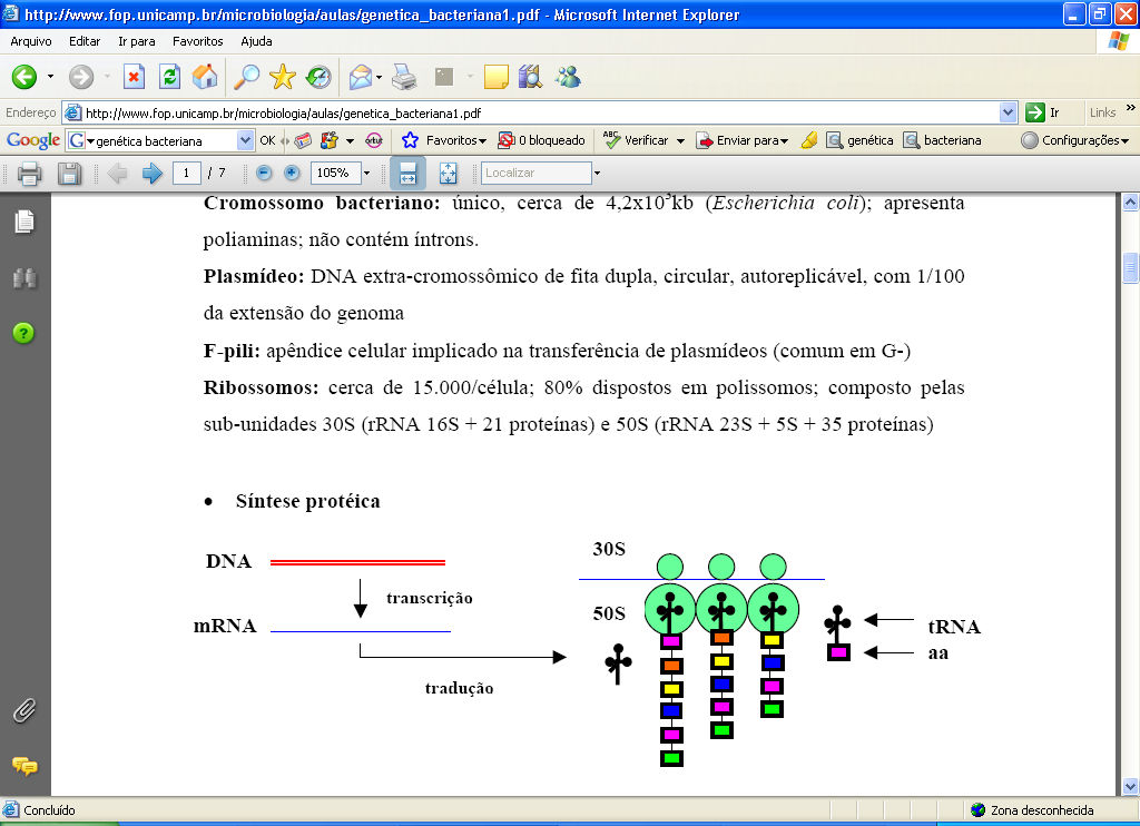 SÍNTESE PROTÉICA FLUXO DA