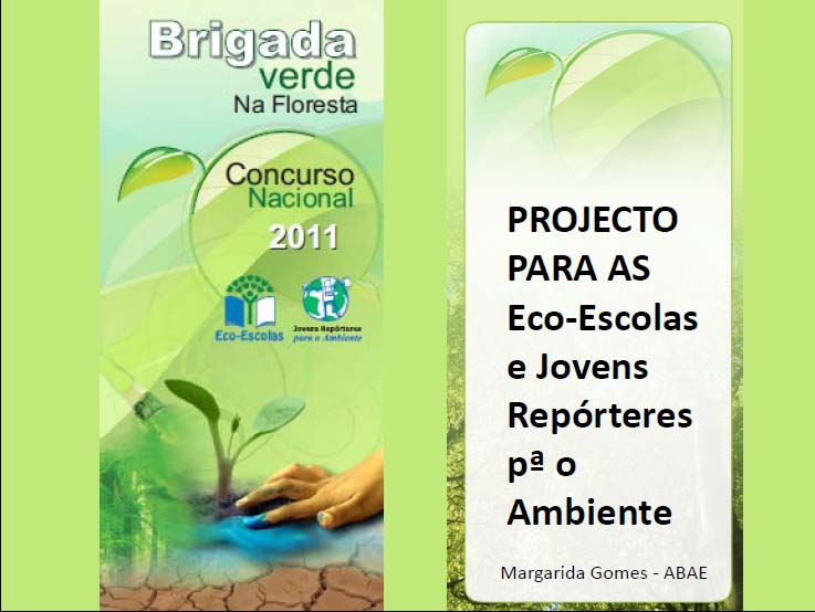 Brigada Verde na Floresta