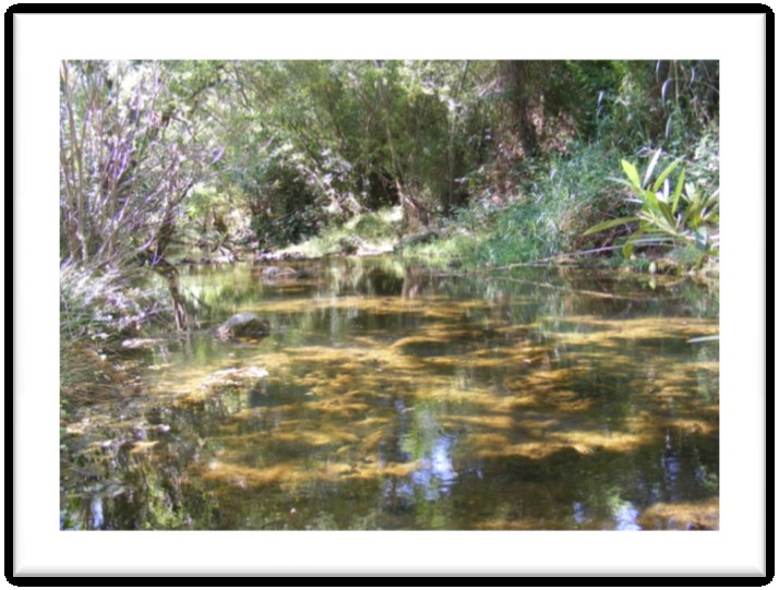 Paisagem Protegida Local da Fonte Benémola (406,38 ha) 1.