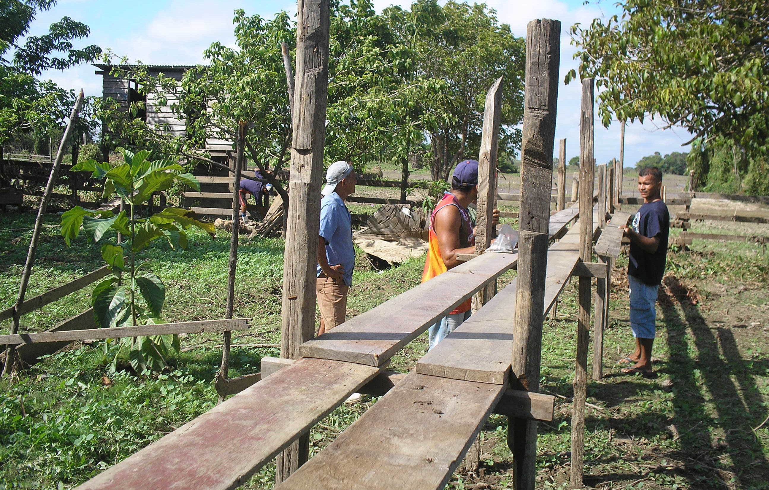 Capacitação em criação de abelha nativa.