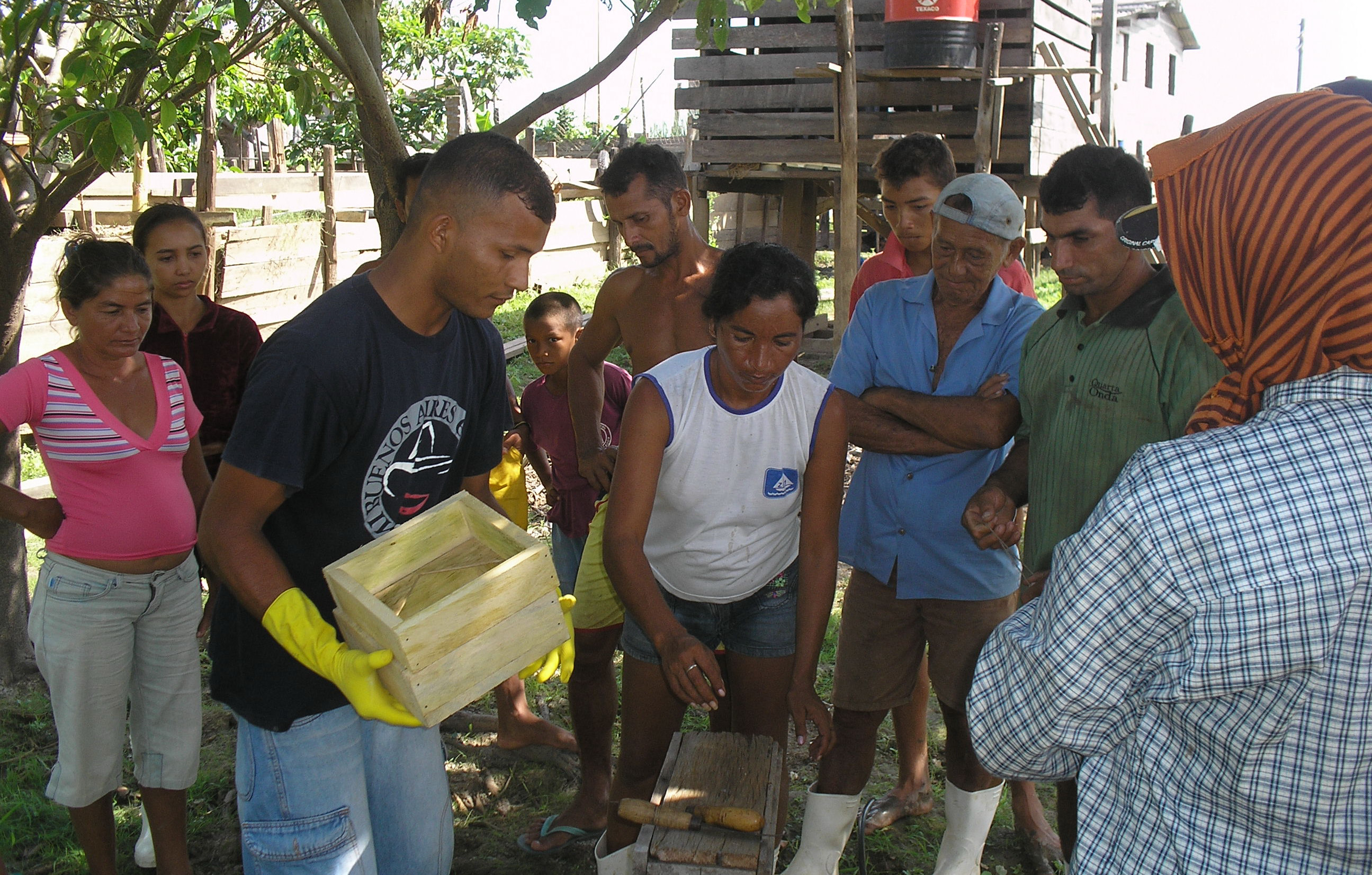 Capacitação em criação de abelha nativa.