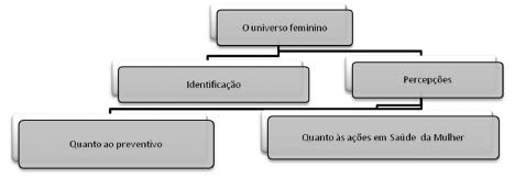 Percepção feminina: o universo de mulheres que buscam a realização do Exame Preventivo do Câncer de Colo do Útero Izaedis Machado da Silva - Alessandra Mendes da Silva - Dugley Francisca Alves dos