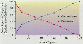 VO 2 (L/min) 21/10/2014 VO 2 e VCO 2 Durante o Exercício Progressivo Quociente Respiratório (QR) Razão entre a quantidade de CO 2 produzido e O 2 consumido VCO 2max 4 VO 2max 3,5 3 2,5 2 1,5 1 0,5 0