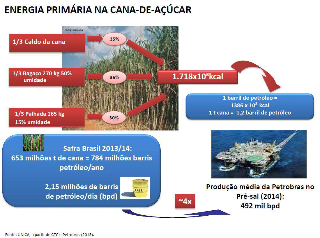 ENERGIA PRIMÁRIA DA CANA DE AÇÚCAR Equivalência: Ref.