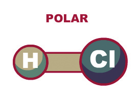 Conteúdos Digitais Multimídia Guia Didático do Professor Aponte na tela 05 os vários exemplos de moléculas polares: Ácido clorídrico (HCI) Amônia (NH3) Água (H2o) Destaque a