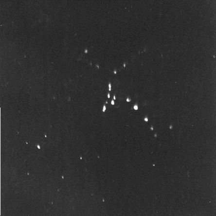 (a) 200 nm 100 nm (b) (c) 200 nm (d) 100 nm Figura 3. Micrografias MET obtidas em amostras com área fina.