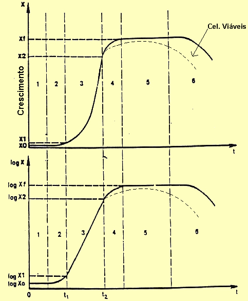 CÉLULAS TOTAIS 1 - LAG-FASE 2 FASE DE ACELERAÇÃO DO CRESCIMENTO 3 LOG-FASE OU EXPONENCIAL