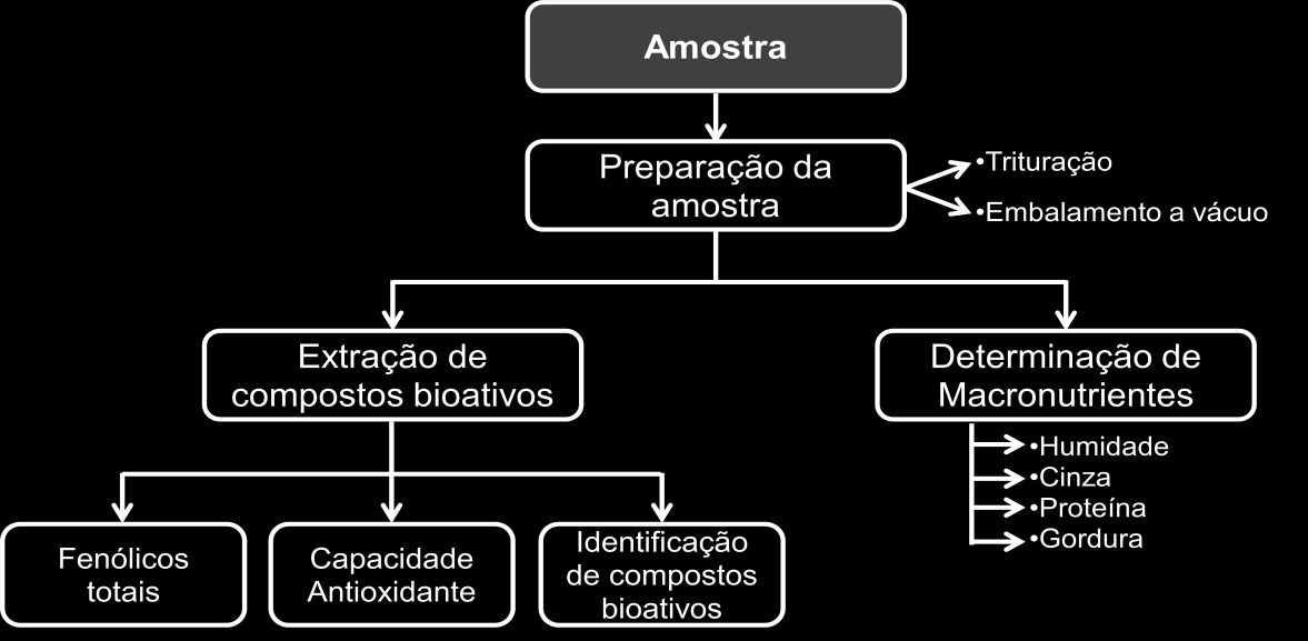 São amostras de duas variedades típicas de Portugal: Oryza sativa Japonica, e Oryza sativa Indica, comummente designadas por arroz carolino e arroz agulha, respetivamente. A Tabela 3.