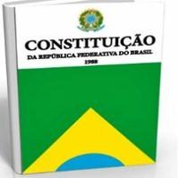 No Brasil os principais aspectos relacionados a organização do Estado (nação) brasileiro estão na Constituição Federal. Uma nação pode construir um estado soberano.