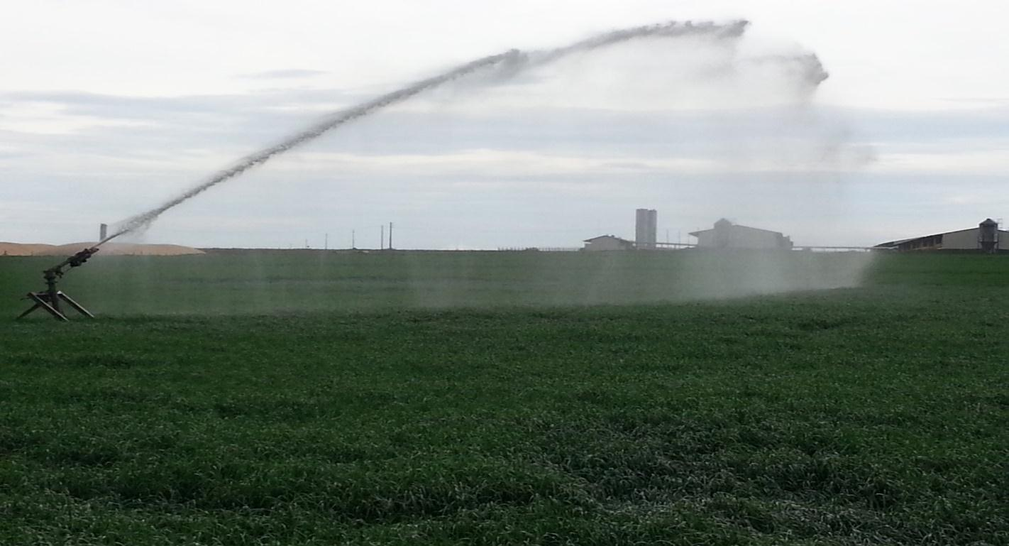 Biofertilizante