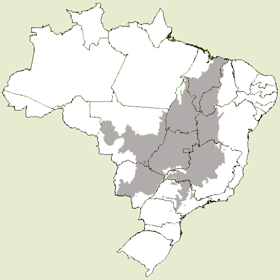 20. Observe o mapa com a distribuição do bioma Cerrado no território brasileiro. Fonte: IBGE. Mapas interativos. Disponível em:<http://mapas.ibge.gov.br/biomas2/viewer.htm>. Acesso em: jun. 2012.