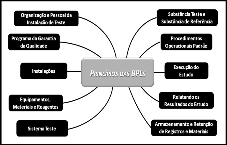 O Núcleo de Plataformas Tecnológicas 2008:Projeto Piloto para Implantação de Boas Práticas de Laboratório-NIT DICLA035-BPL a versão brasileira dos Princípios das BPLs está subdividida em dez grandes