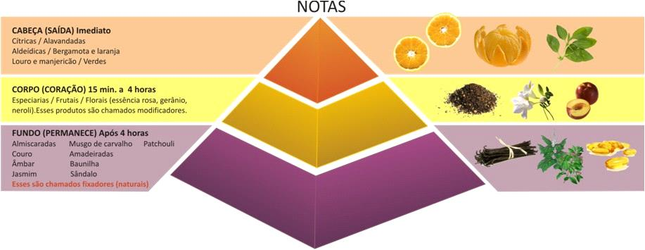 Dica 1 - Os perfumes obedecem uma Pirâmide de Notas Olfativas com famílias e Subfamílias Os Perfumes tem uma classificação em famílias e subfamílias, devido a predominância de algumas notas na