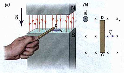 50 Considere um condutor movimentando-se em um campo magnético uniforme, conforme a figura abaixo.