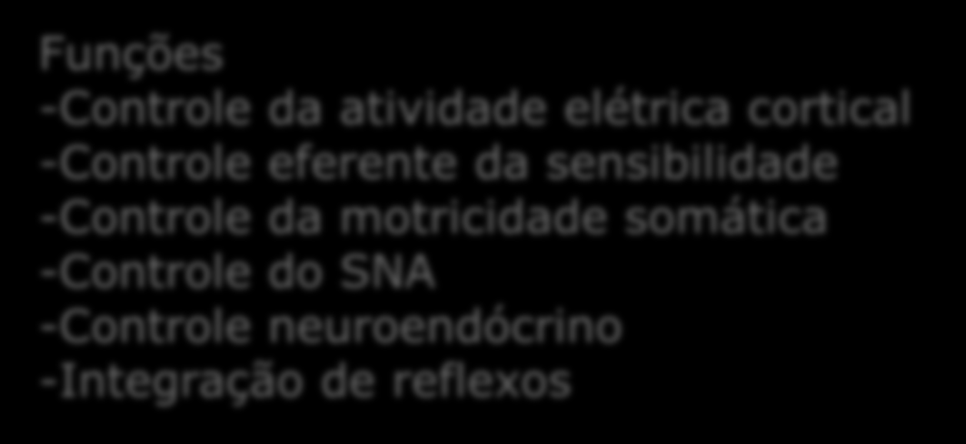 -Controle da atividade elétrica cortical -Controle eferente da sensibilidade