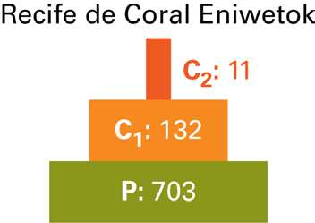 A largura de cada barra é proporcional ao número de indivíduos, biomassa ou energia contida em cada nível trófico. a b c Figura 3.