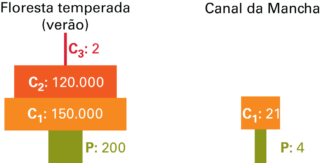 46 Licenciatura em Ciências USP/Univesp Figura 3.7: Pirâmides ecológicas invertidas de: (a) números (em número de indivíduos) e (b) biomassa (em gramas de peso seco por m 2 ).