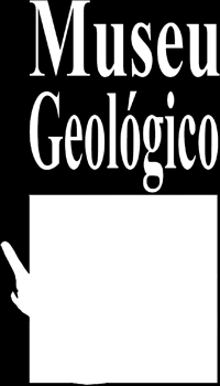 âmbito atividade científica desenvolvida pelas comissões geológicas e organismos públicos que lhes