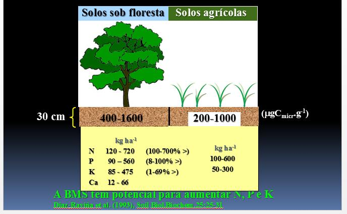 Comparação