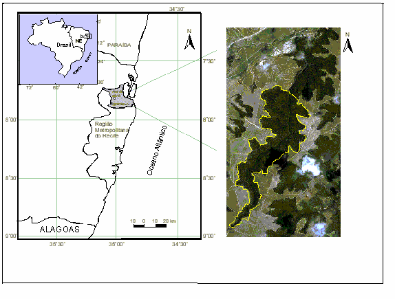ROCHA, K. D. Estrutura da vegetação arbórea... 6 Vetorização sobre imagem de satélite IKONOS, TRINDADE 2005. Figura 1.